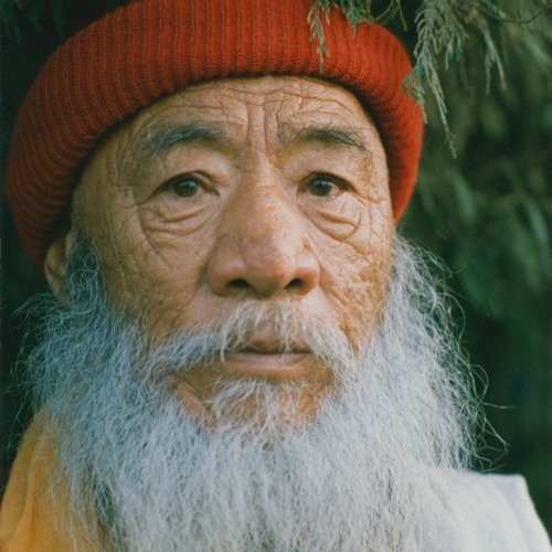 Stream 01 Introducing Chatral Sangye Dorje's Background And Approach To ...