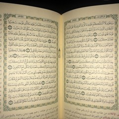 ناصر القطامي - سورة هود 36-49