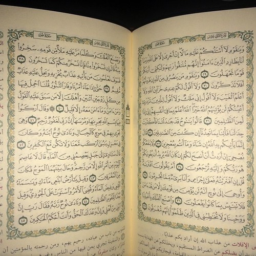 ناصر القطامي - سورة هود 36-49