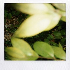 Squeeze (hejo 4) (AIL)