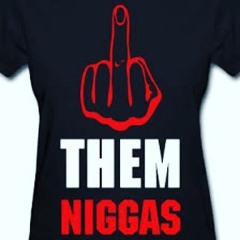 2D1A Fuck Dem Niggas (FDN)