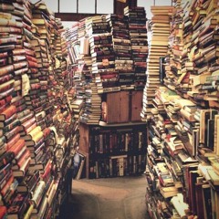 LITERATURE (PROD. LOWKEY)