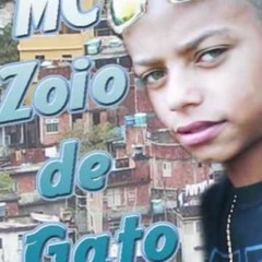 Mc Zoi De Gato Fabrica De Bico (reliquia do funk )