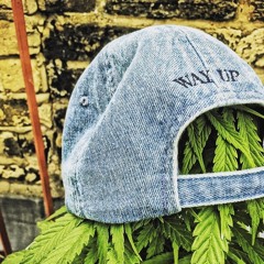 The Elite One-Way Up