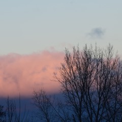 //Calm//