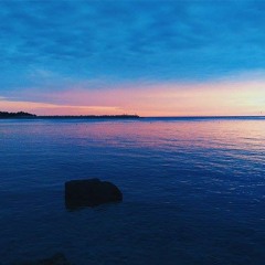 Anna Sun ( Walk the Moon )