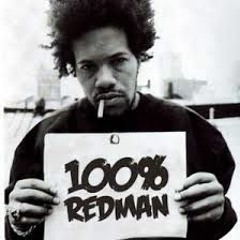 REDMAN- CANT WAIT (THOUGHTS EYE MANIFEST REMIX)