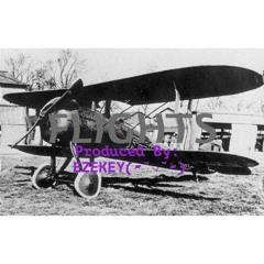Flights [Prod. zeke.brooks(▰˘◡˘▰)]