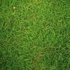 M.I.A. - Galang (Borchi Bootleg) - New!