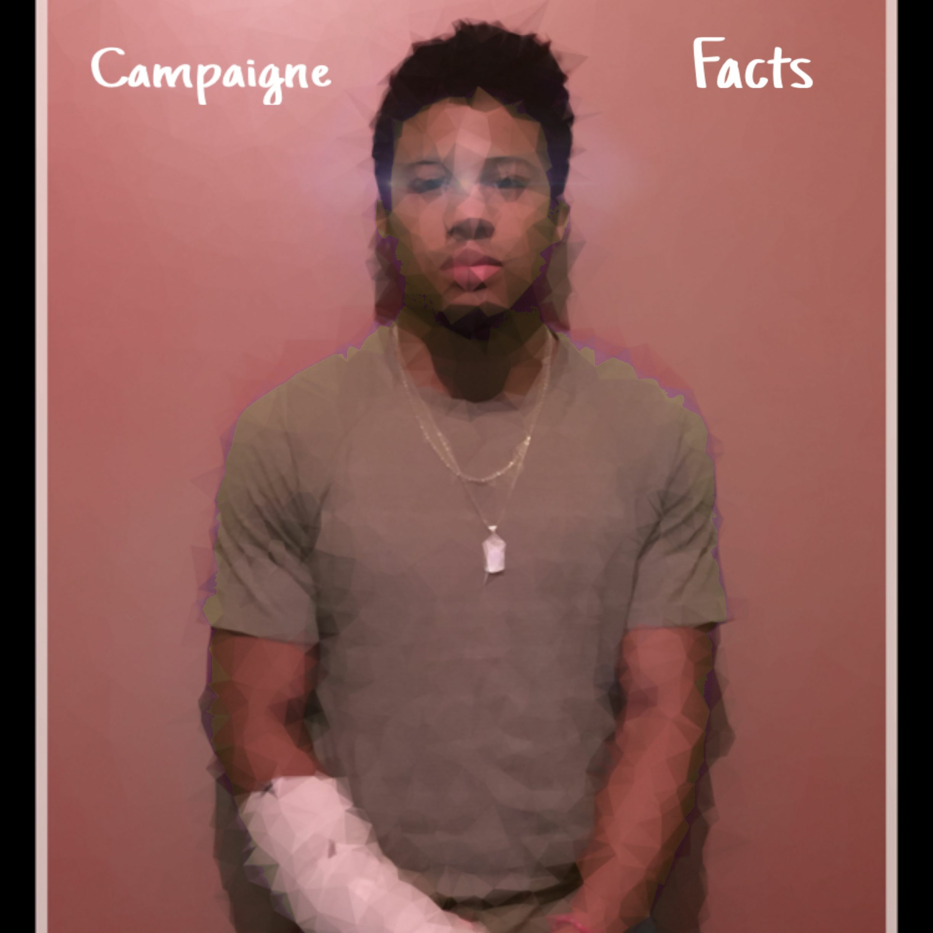 Facts (Remix) episode artwork