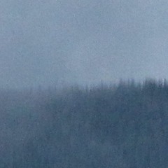 smokey taboo . cocorosie