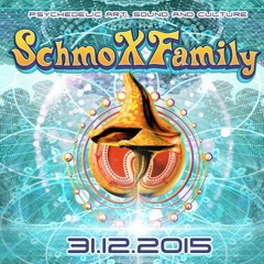 PROG INVADER LIVE @ ZENITH MUC SCHMOX FAMILY NYE 2015
