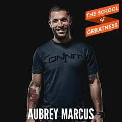 EP 273 8 Mindset Principles of Champions with Aubrey Marcus