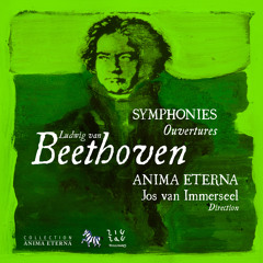 BEETHOVEN - Symphonie No. 9 in D Minor, Op. 125: II. Molto vivace