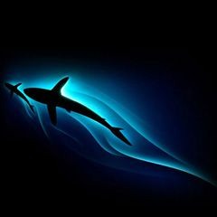 Merlin & Zyce Feat. Spinney Lainey - Submersion Cut 2 (Original Mix)
