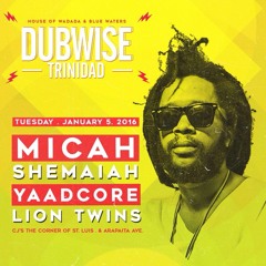 LionTwin Live At DubWise Trinidad