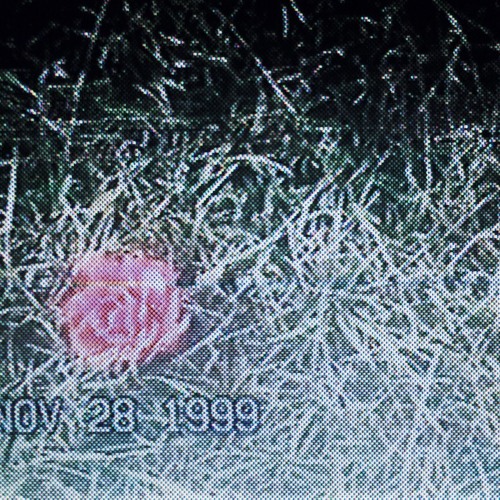 ɹǝʌᴉɹ ǝɥʇ ʎq uʍop (*VIDEO IN DESCRIPTION*)