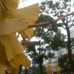 อย่าลืมความจริง ..