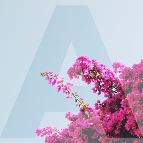 Regulars (Ali Ydder x Tom Misch)