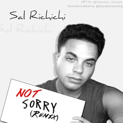 Not Sorry (Sorry Remix)