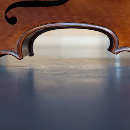 Unreasonable Behaviour, for cello solo  - Lorenzo Romano