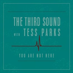 The Third Sound (featuring Tess Parks) - You Are Not Here