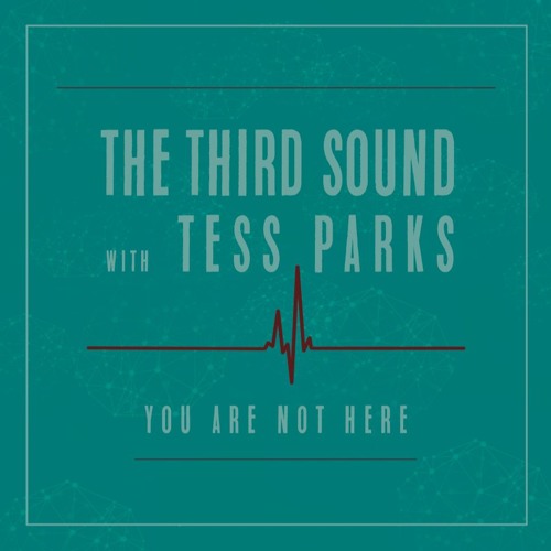The Third Sound (featuring Tess Parks) - You Are Not Here