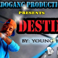 Destiny - Young Eily @ Vedogang Productions