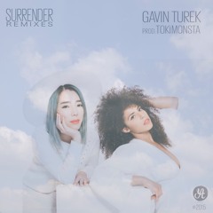 Gavin Turek - Surrender (Paperwater Remix)
