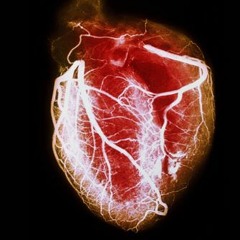 If You Only Had A Heart