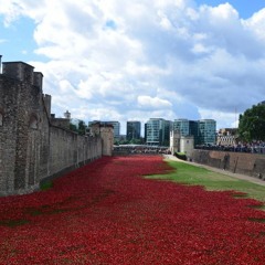 'Lest We Forget?' Advert 2
