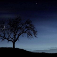 STAR PORTAL (22.12.15)