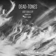 Dead Tones - Lost Souls (Evans Remix) [CLOUDSABOVE004]