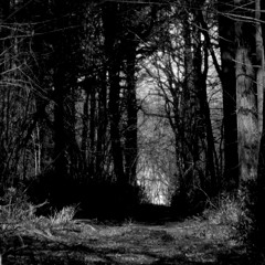 A Forest - The Cure remix - By DJinkstraüm