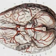 45minutes, fast original, enarembee