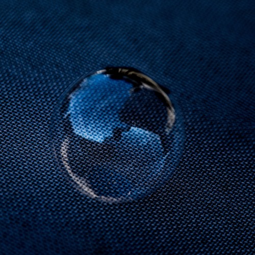 but these are larvae