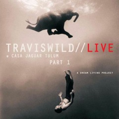 Travis Wild - Live at Casa Jaguar - Tulúm pt. 1 (Dec. 29, 2015)