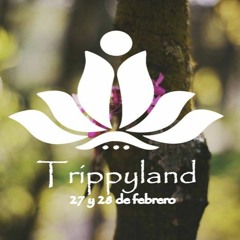 Exclusive Trippyland Podcast pt.2 Hardstyle