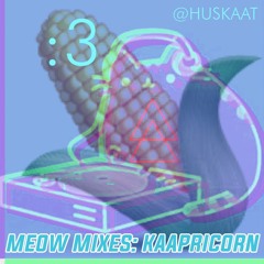 MEOW MiXES VOL 2: KAAPRiCORN