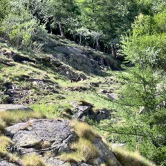 The Sun In Your Heart