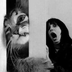 4.13.11 Dj Matt Dunn Drum & Bass