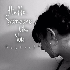 Hello, Someone Like You - Adele Mashup
