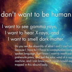 I Don't Want To Be Human [download]