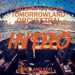 Martin Garrix - Forbidden Voices (Tomorrowland Orchestral Intro) WILLAND EDIT