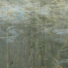 3. La Niebla + 4. El Bosque (prod. Ferrajú)