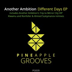 Another Ambition - Different Days (Another Ambition's Trip To Mirror City VIP) [Pineapple Grooves]