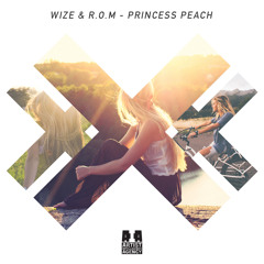 WIZE & R.O.M - Princess Peach