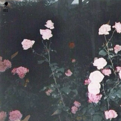 THE FIRE IN MY SOUL HAS EXTINGUISHED [PROD. ABSOLUTE TERROR]