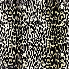 FUTURE BLONDES - SYNTH 1 / FEATHER 17 (LOVE AND DESTRUCTION)