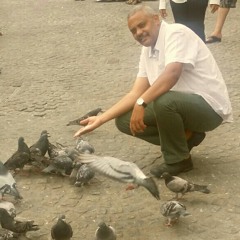 الوداع، محمود عبد العزيز